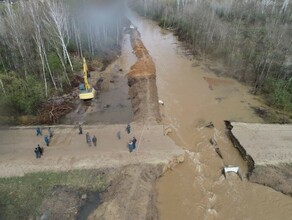 В Амурской области топит приусадебные участки и дороги Местами вода  в человеческий рост фото видео