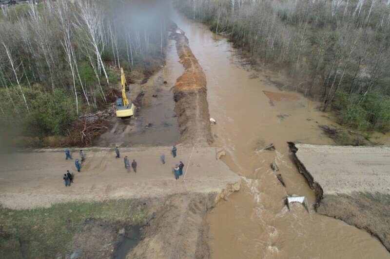 В Амурской области топит приусадебные участки и дороги Местами вода  в человеческий рост фото видео