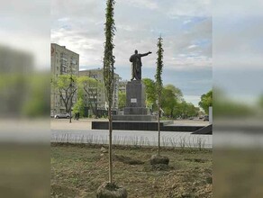 В Благовещенске началось масштабное озеленение Трибуны Холл фотовидео