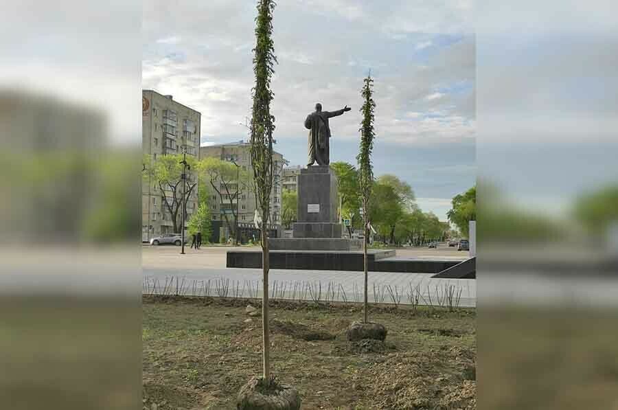 В Благовещенске началось масштабное озеленение Трибуны Холл фотовидео