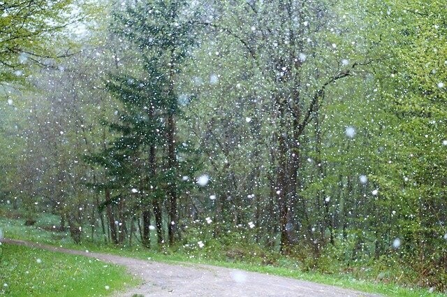 Дождь снег град грозы 22 мая погода в Амурской области испортится 