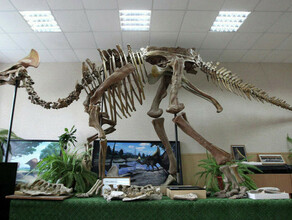 В Благовещенске ко Дню города появится скульптура амурозавра