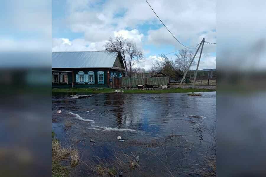 В Сковородинском районе вода отрезала от села три жилых дома 