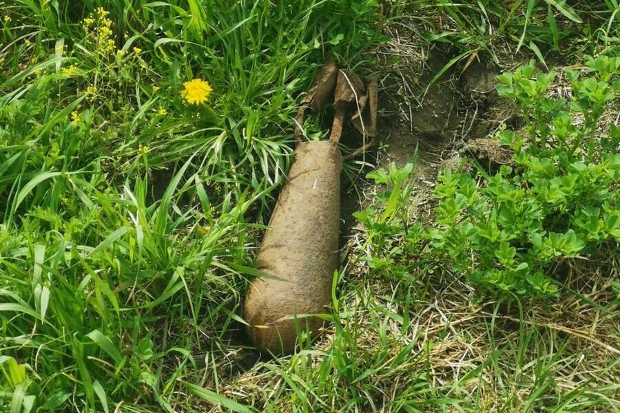 На пастбище в Приамурье взорвали боеприпас видео