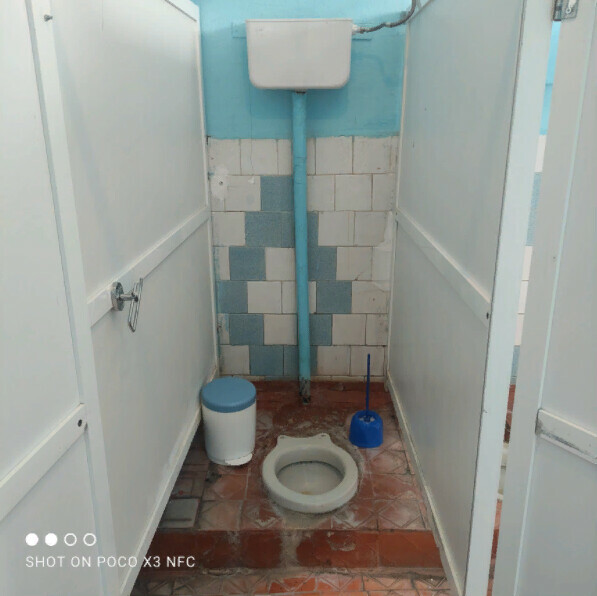 Шесть российских школ победили в конкурсе Domestos на худший школьный туалет