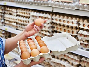 В России опять ожидается рост цен на яйца