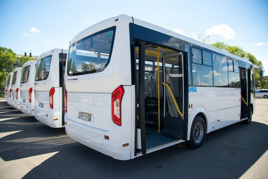 В Благовещенске появились новые современные автобусы фото