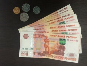 Общественная палата предложила ввести в России отцовский капитал