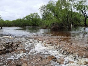 В Благовещенском районе вода перемыла дорогу ведущую к приюту для животных видео