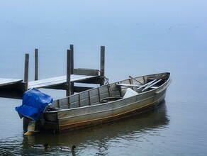 Китайцы приплывшие в Амурскую область проведут год в колонии