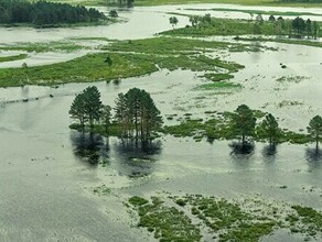 МЧС предупредило о новом подъеме воды в реках Амурской области