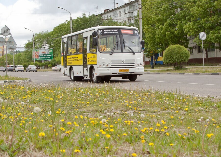 В Благовещенске меняется схема движения некоторых автобусов новая схема