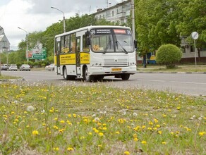 В Благовещенске хотят полностью обновить автобусный парк и систему маршрутов