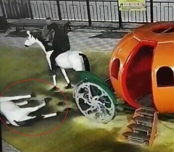 Цирк с конями В Благовещенске мужчина пытался залезть на лошадь запряженную в тыкву и уронил ее видео
