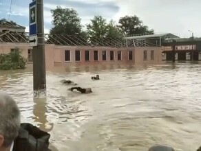 Сеть взорвало видео со спасателями вплавь сопровождавшими лодку главы Крыма в затопленной Керчи видео