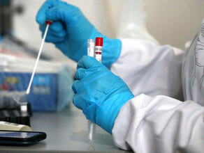 Жвачка и спрей в России разрабатывают новые средства для борьбы с коронавирусом