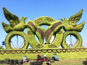 Улицы Хэйхэ украсят десятки скульптур из живых растений фото