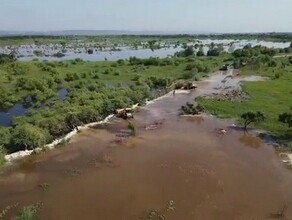 Эвакуироваться не буду Что происходит во Владимировке куда вплотную подошел паводок  