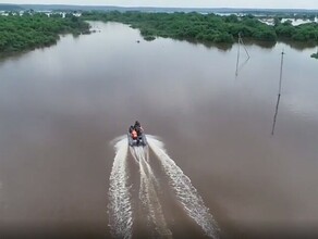 Паводковые качели где в Амурской области прибывает а где падает вода