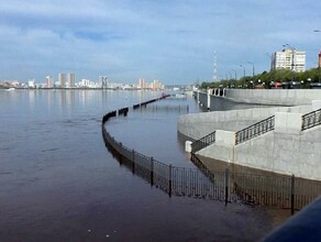 В Амурской области на время наводнения начали работу временные приемные прокурора области список адресов