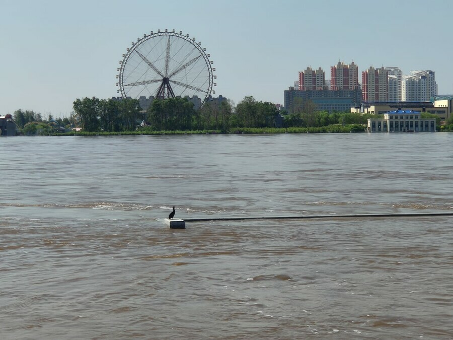 Уровень воды возле набережной Амура фото видео