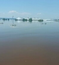 Приют для животных в Игнатьево затопило по самую крышу Что с собаками