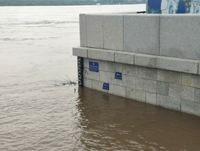 Гидрометцентр прогнозирует подъем воды в Амуре почти до уровня наводнения 1984 года Прогноз по области