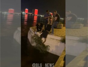 Ночью на набережной в Благовещенске из бурлящего Амура спасли фазана видео