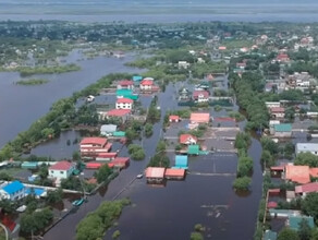 В правительстве Приамурья рассказали когда смогут защитить от наводнения Владимировку и другие амурские села