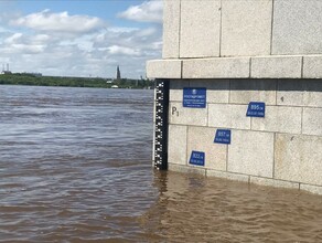 Как возле Благовещенска стремительно падает уровень Амура фото