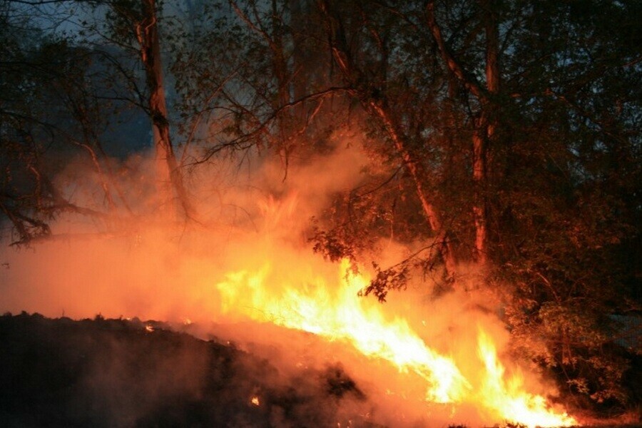 В Селемджинском районе бушует лесной пожар 