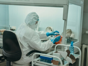 В Приамурье открывают новые лаборатории для диагностики COVID19