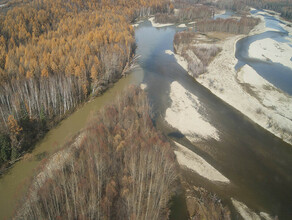 Золотодобывающее предприятие Хэргу нанесло реке в Амурской области многомиллионный ущерб фото