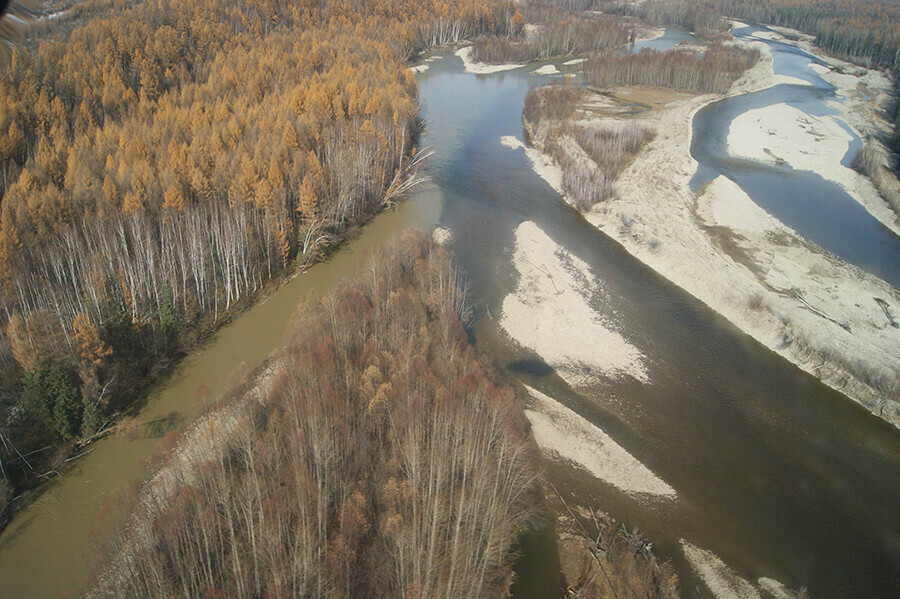 Золотодобывающее предприятие Хэргу нанесло реке в Амурской области многомиллионный ущерб фото