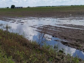 В Благовещенском районе паводок уничтожил более 8 тысяч гектаров посевов 
