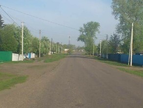 В Амурской области полицейские раскрыли типично сельскую кражу