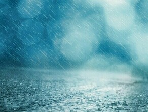 Ливни и грозы погода в Приамурье на 11 июля