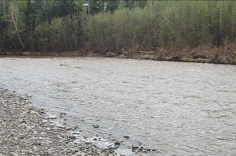Вред нанесенный амурской реке предприятием Коболдо исчисляется сотнями тысяч рублей Его работа приостановлена 