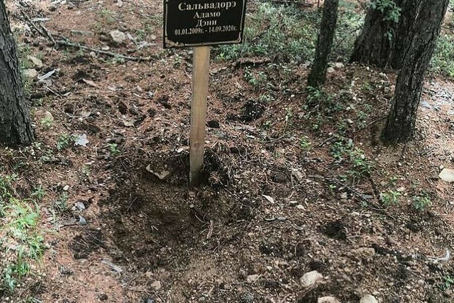 В Тынде медведь разрыл могилы фото