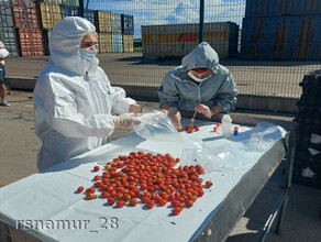 В Амурскую область из КНР возобновились прямые поставки фруктов и овощей На прилавках появятся китайские арбузы и маракуйя