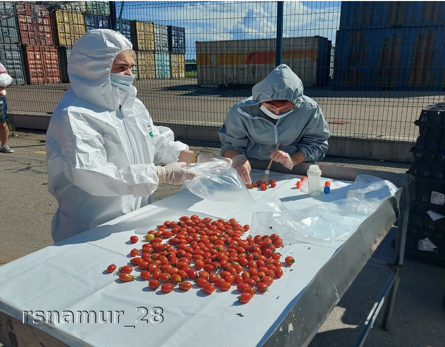 В Амурскую область из КНР возобновились прямые поставки фруктов и овощей На прилавках появятся китайские арбузы и маракуйя
