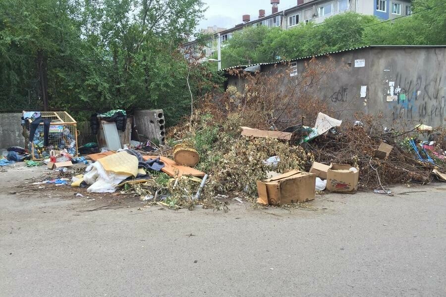 Никто не хочет убирать Во дворе дома в центре Благовещенска образовалась свалка фото