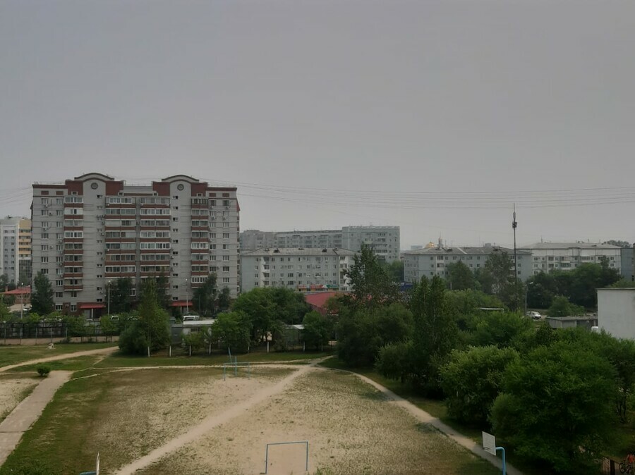  Установлена причина задымленности воздуха в Приамурье