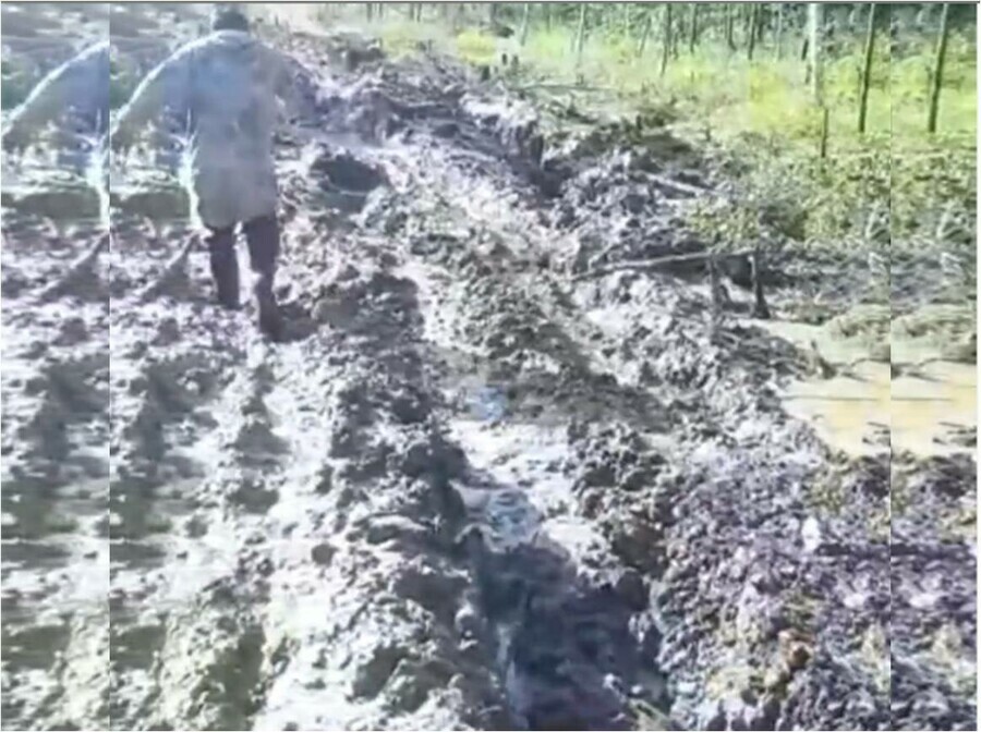 Ямы по пояс в Амурской области на видео сняли дорогу в Октябрьский где живет больше 1 000 человек