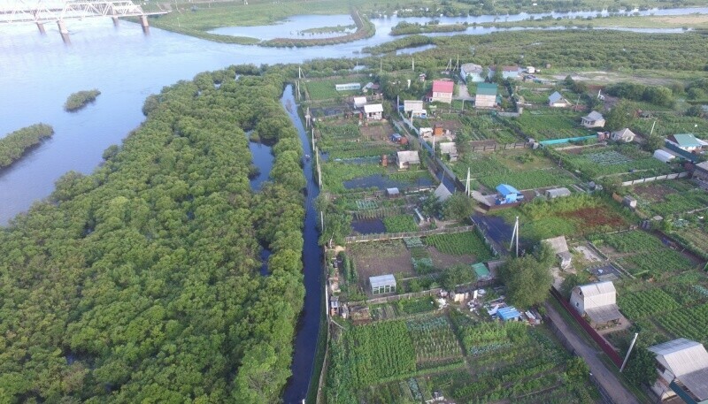 Возможно подтопление дорог паводковая обстановка в Амурской области на 24 июля