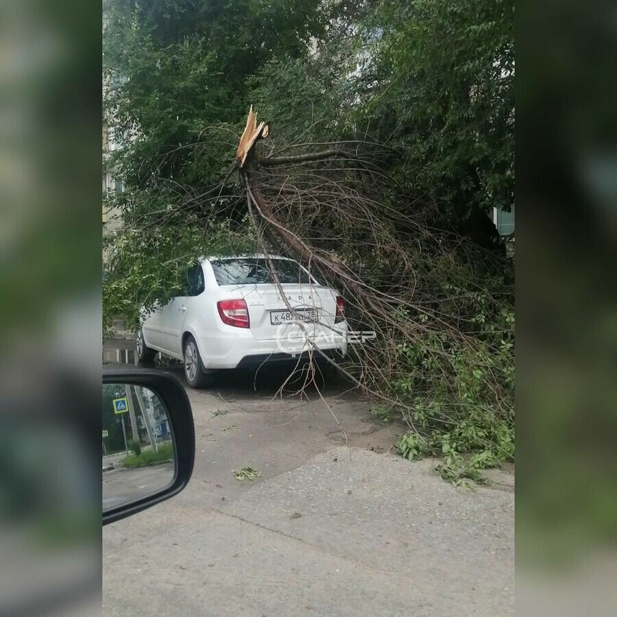 Поваленные деревья пострадавшие автомобили Благовещенск приходит в себя после тропического ливня видео