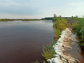 На севере Амурской области уровень воды в реке Амур за сутки поднялся почти на 15 метра