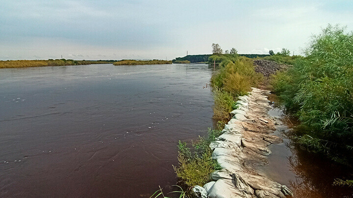 На севере Амурской области уровень воды в реке Амур за сутки поднялся почти на 15 метра