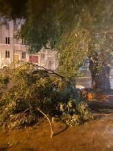 В Благовещенске после тропического дождя зарегистрировано более 20 порывов электропроводов