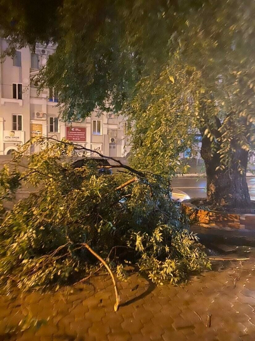 В Благовещенске после тропического дождя зарегистрировано более 20 порывов электропроводов